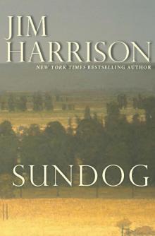 Sundog (Contemporary Classics) Read online
