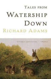 Tales From Watership Down Read online