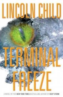 Terminal Freeze Read online