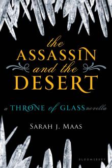 The Assassin and the Desert Read online