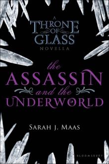 The Assassin and the Underworld Read online