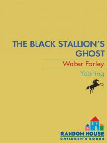 The Black Stallion's Ghost Read online