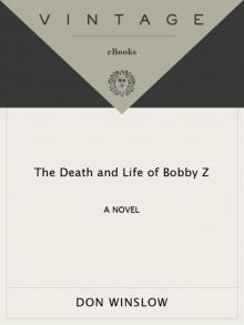The Death and Life of Bobby Z Read online