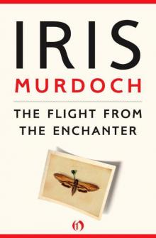 The Flight From the Enchanter Read online