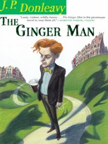 The Ginger Man Read online