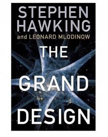 The Grand Design Read online