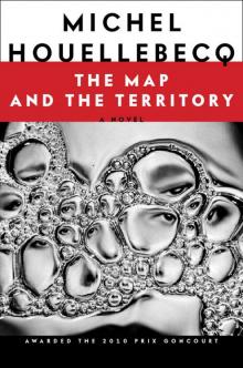 The Map and the Territory Read online