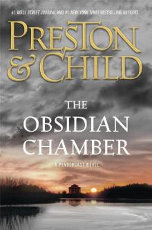 The Obsidian Chamber Read online