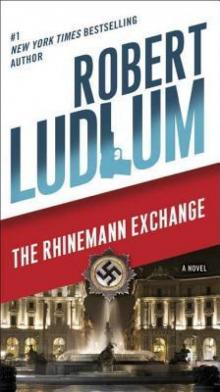 The Rhinemann Exchange: A Novel Read online