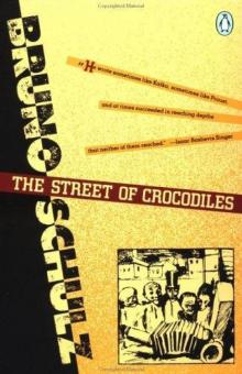 The Street of Crocodiles Read online