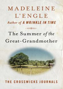 The Summer of the Great-Grandmother Read online