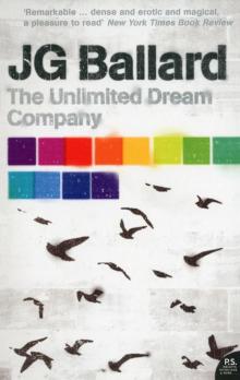 The Unlimited Dream Company Read online