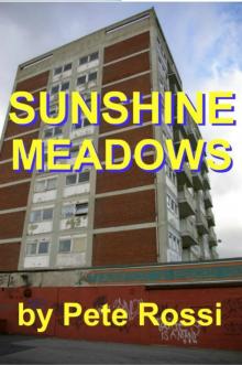 Sunshine Meadows Read online