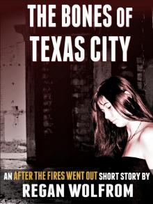 The Bones of Texas City Read online