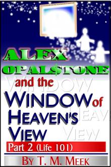 Alex Opalstone and the Window of Heaven's View: Life 101 Part 2