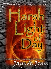 Harsh Light of Day Read online