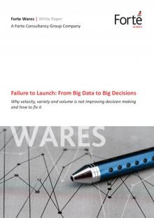 Failure to Launch: From Big Data to Big Decisions Read online