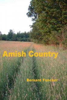 Amish Country Read online