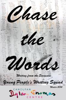 Chase the Words - Work from the Swansea Young People's Writing Squad Read online