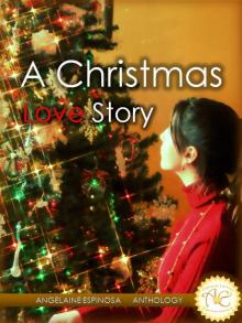 A Christmas Love Story Read online