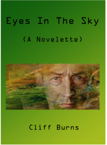 Eyes in the Sky Read online