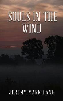 Souls In The Wind Read online