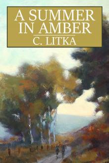 A Summer in Amber Read online
