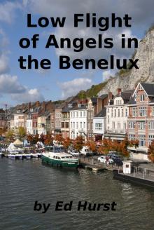 Low Flight of Angels in the Benelux Read online