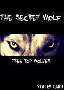 The Secret Wolf (Book One in the Tree Top Wolves Series) Read online