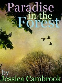Paradise in the Forest Read online