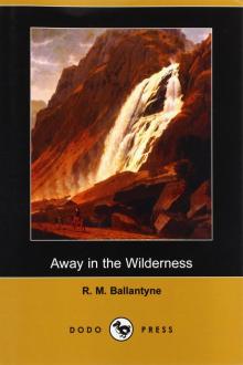 Away in the Wilderness Read online