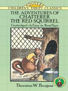 The Adventures of Chatterer the Red Squirrel Read online
