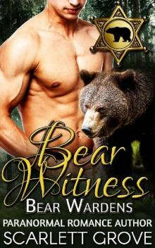 Bear Witness Read online