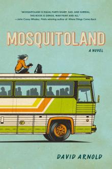 Mosquitoland Read online