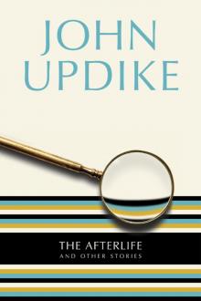 The Afterlife: And Other Stories Read online