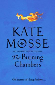 The Burning Chambers Read online