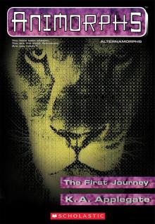 The First Journey Read online