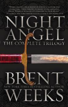 The Night Angel Trilogy Read online