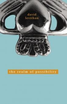 The Realm of Possibility Read online