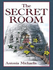 The Secret Room Read online