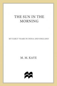 The Sun in the Morning Read online