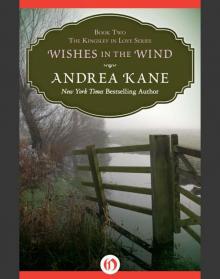 Wishes in the Wind Read online