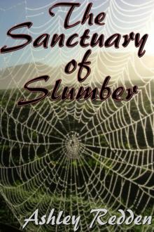 The Sanctuary Of Slumber Read online