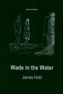 Wade in the Water Read online