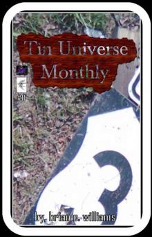 Tin Universe Monthly #11 Read online