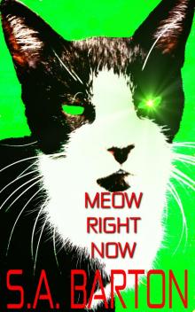 Meow Right Now Read online