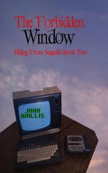 The Forbidden Window (Hiding from Seagulls Book 2) Read online
