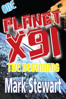 Planet X91 The Beginning Read online