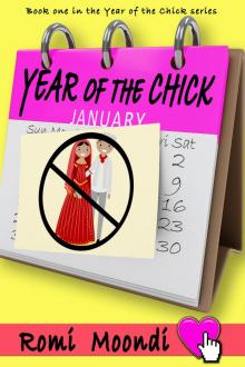 Year of the Chick Read online