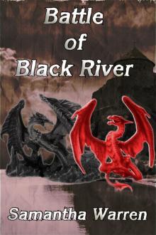 Battle of Black River Read online